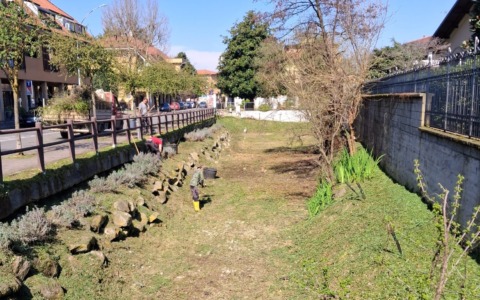 Inizia la manutenzione primaverile del verde a Liscate