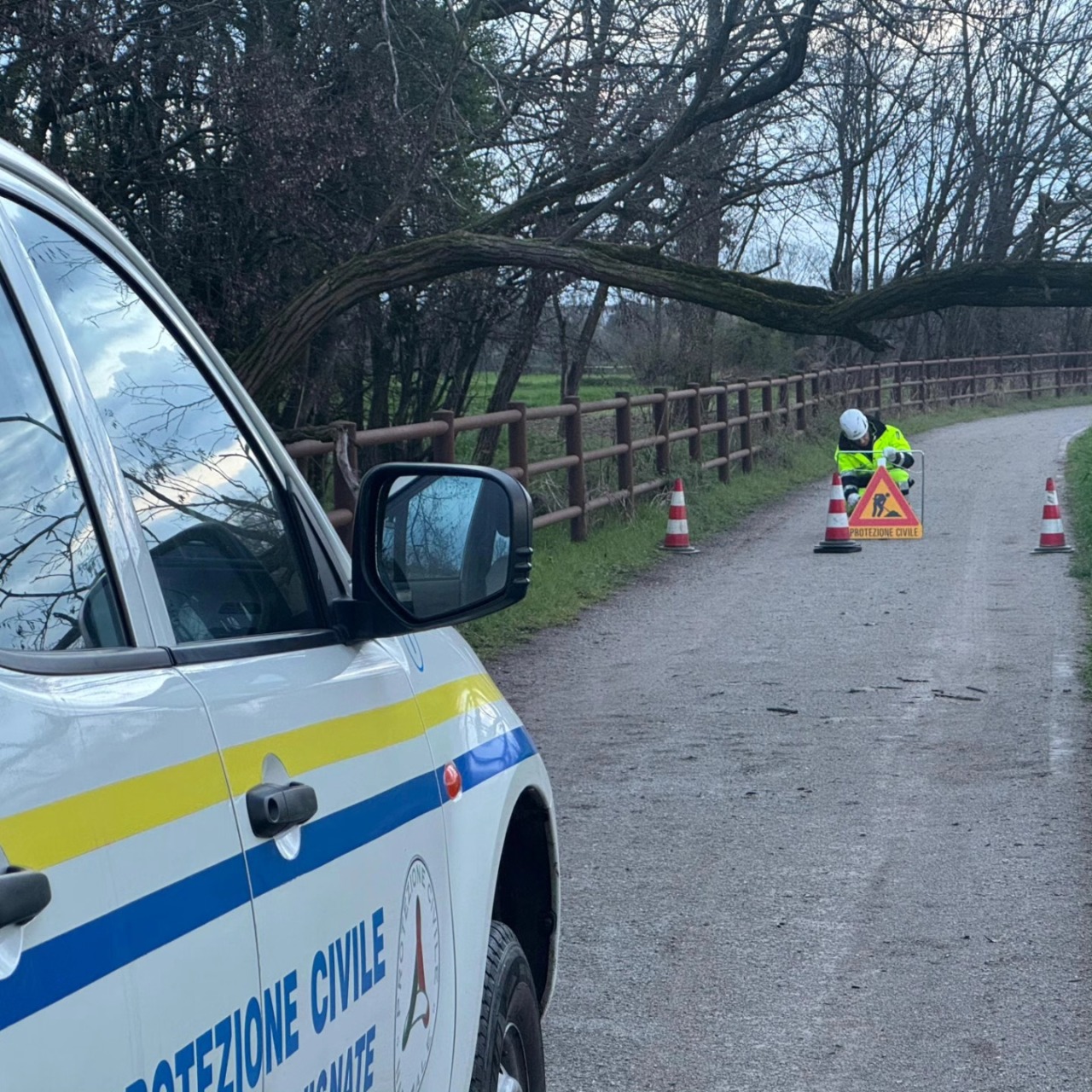 Intervento della Protezione civile di Vignate per un albero caduto sulla strada