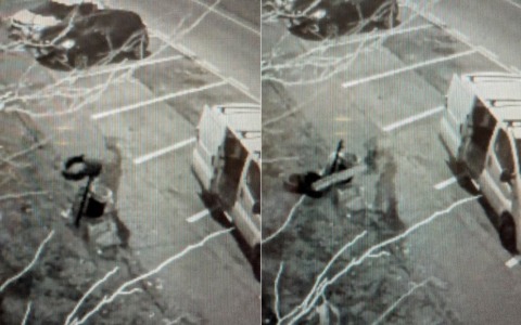 Un vimodronese abbandona rifiuti: identificato grazie alla videosorveglianza