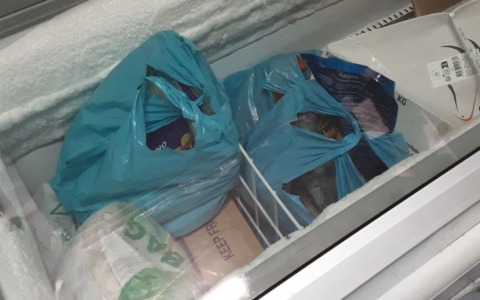 Chiusura di un supermercato per scarsa igiene e alimenti non conformi