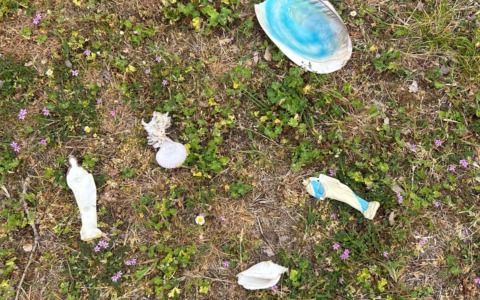 Danneggiamenti al cimitero, il sindaco Zanelli annuncia nuove telecamere