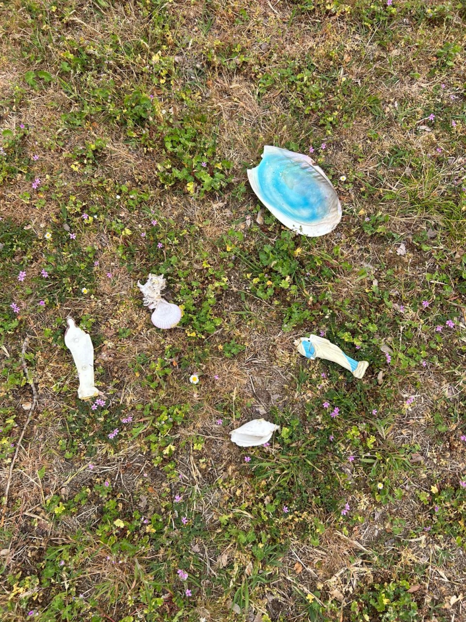 Danneggiamenti al cimitero, il sindaco Zanelli annuncia nuove telecamere