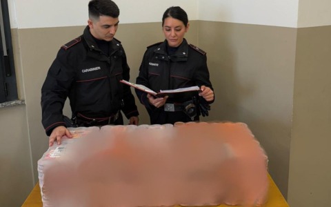 Due rumeni arrestati per furto di cibo e cartucce per oltre 2.800 euro