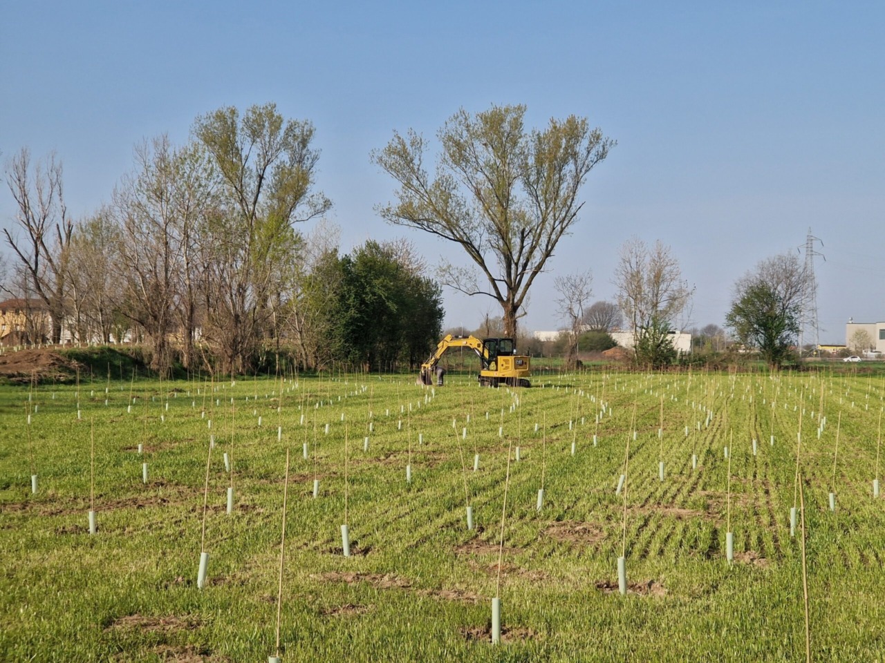 Gorgonzola si arricchisce di un nuovo bosco urbano: piantate 1.257 piante