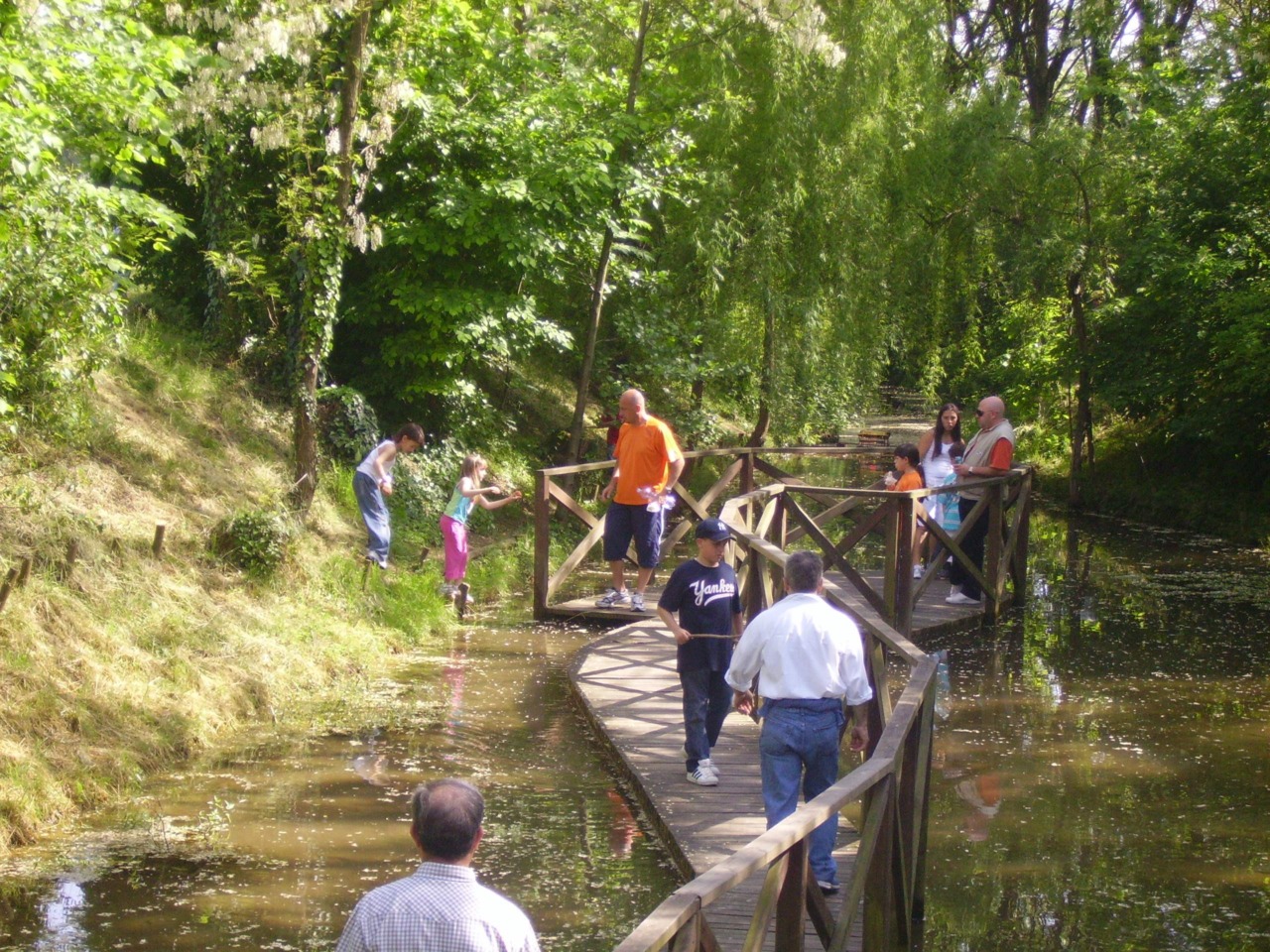 Il fontanile della Castelletto riapre: un nuovo inizio per la natura a Pioltello