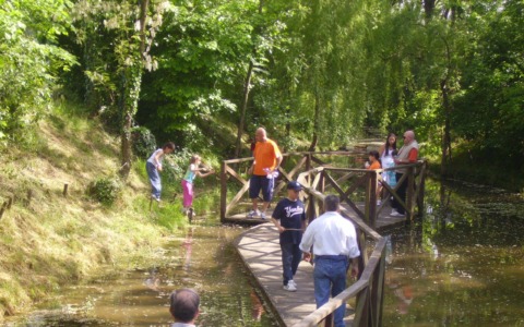 Il fontanile della Castelletto riapre: un nuovo inizio per la natura a Pioltello