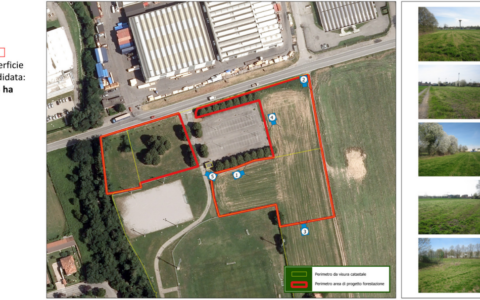 Inizio della piantumazione di oltre mille nuove piante a Cambiago con “ForestaMi”