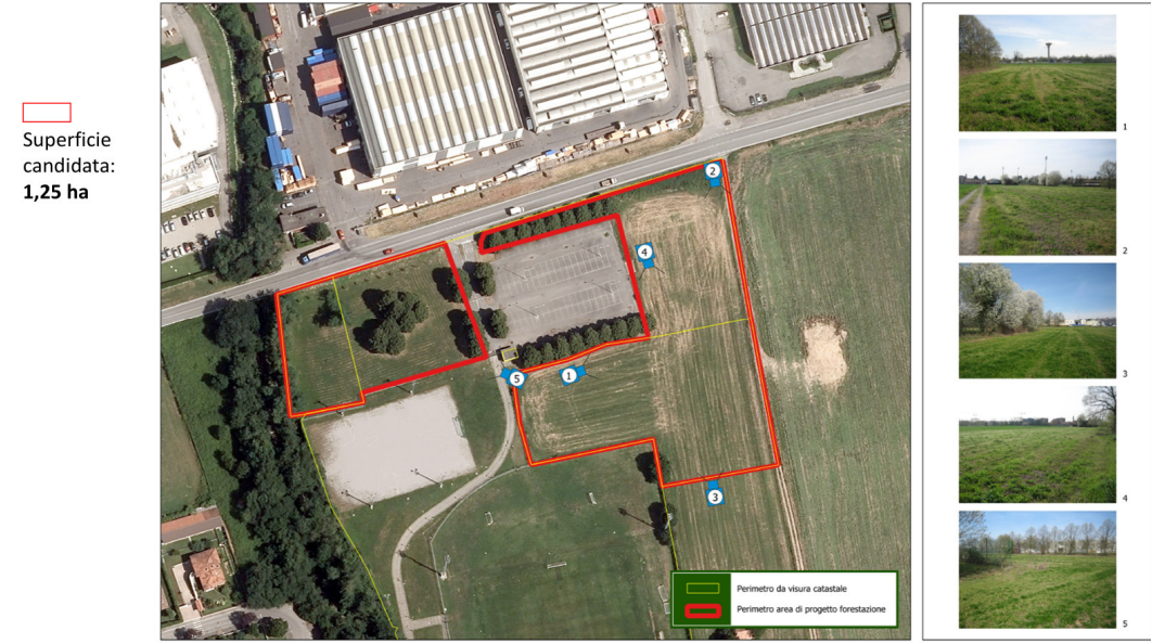 Inizio della piantumazione di oltre mille nuove piante a Cambiago con “ForestaMi”