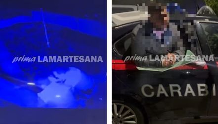 Tentativo di furto al bar di Segrate, ladro arrestato dai Carabinieri
