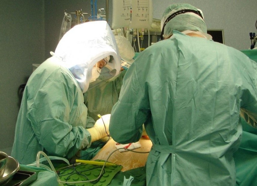 “Trapianta una vita”: l’importanza della donazione di organi e tessuti