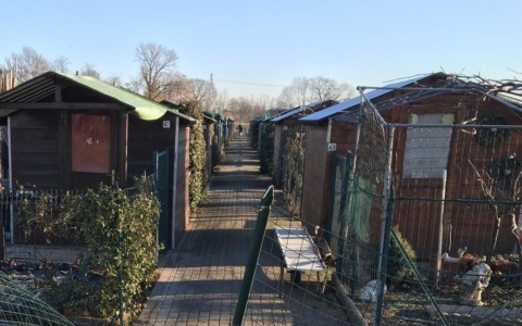 Vandali in azione: il grido d’allerta degli ortisti di Cassina de’ Pecchi