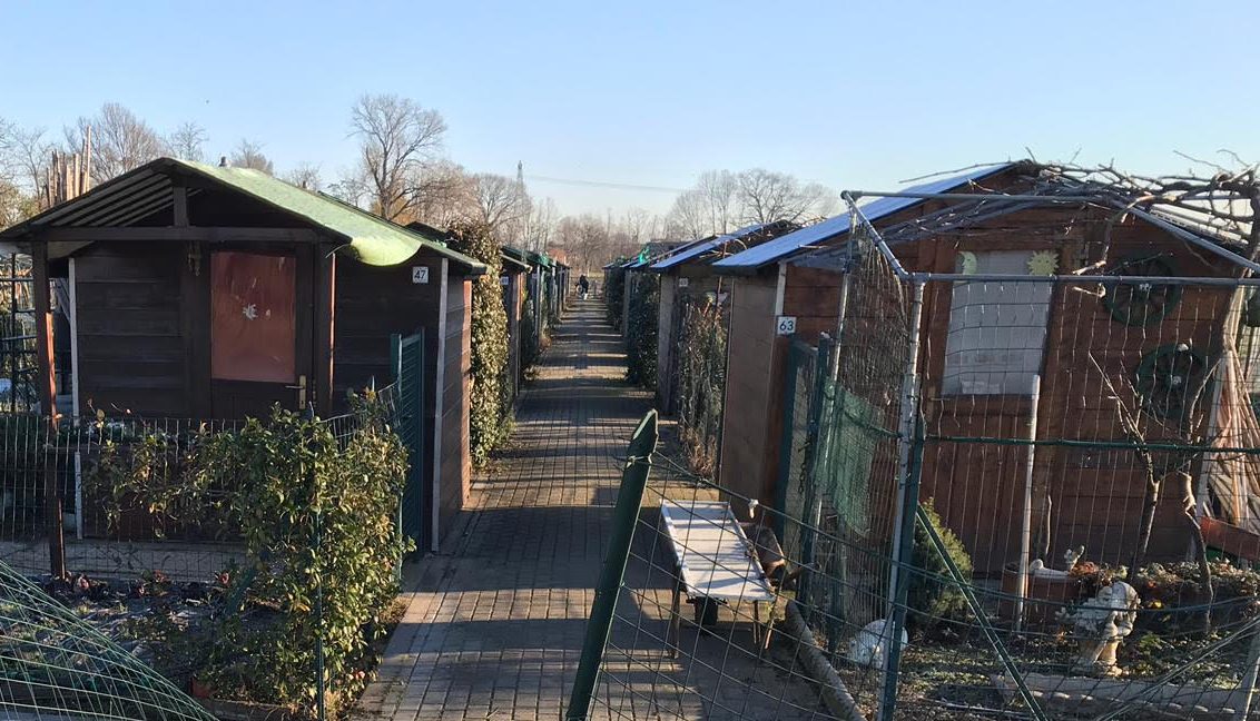 Vandali in azione: il grido d’allerta degli ortisti di Cassina de’ Pecchi