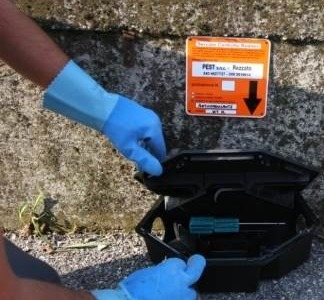 Affidato a Cassina de’ Pecchi l’appalto per la derattizzazione