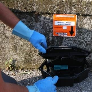 Affidato a Cassina de’ Pecchi l’appalto per la derattizzazione