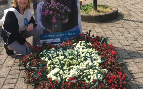 Cassina de’ Pecchi: 6000 euro per l’AIRC grazie all’Azalea della Ricerca