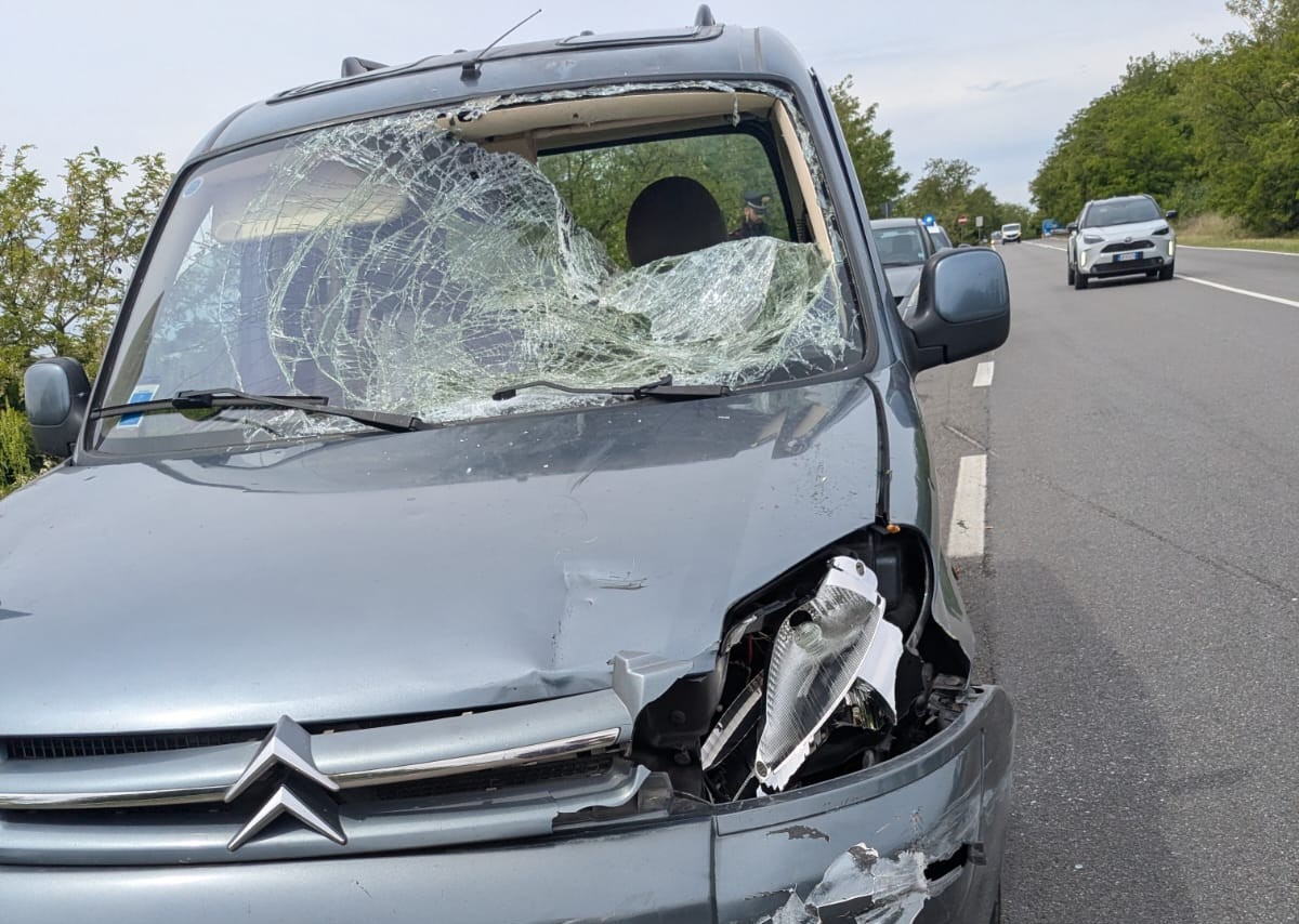 Ciclista travolto e ucciso: arrestato un 58enne