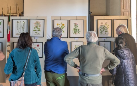 La biodiversità si fa arte: inizia la mostra di AmbienteAcqua Aps