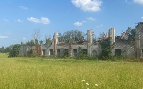 La questione delle Cascine al centro del dibattito politico: polemiche e chiarimenti