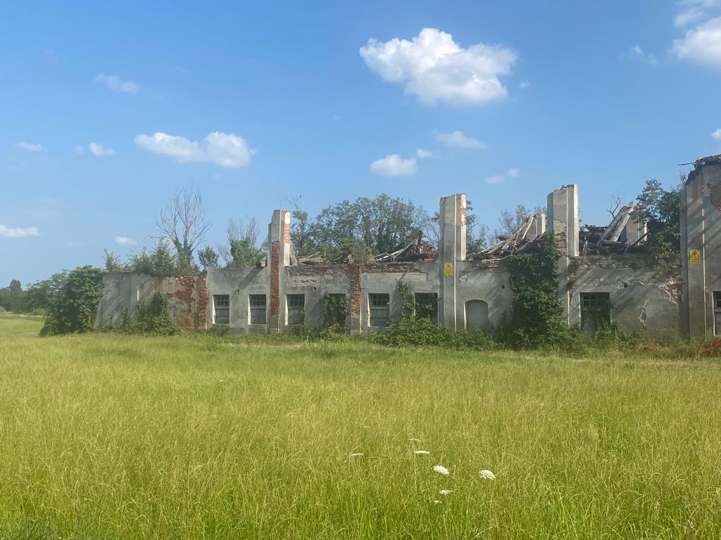 La questione delle Cascine al centro del dibattito politico: polemiche e chiarimenti