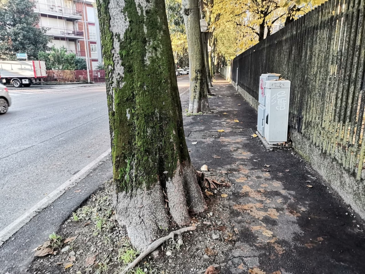 Via Don Sturzo: il futuro è deciso, spazio a verde e mobilità dolce
