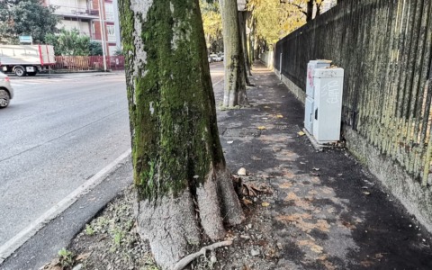 Via Don Sturzo: il futuro è deciso, spazio a verde e mobilità dolce