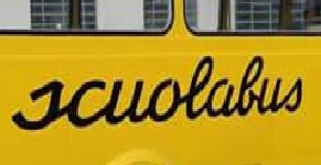 Genitori della Linea blu organizzano un flash mob per il servizio scuolabus