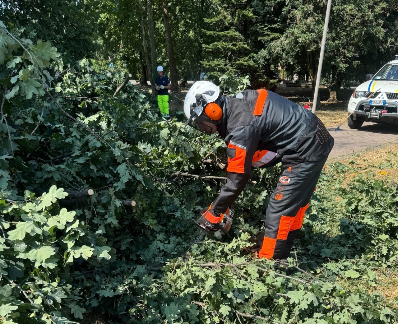 Interventi della Protezione Civile di Vignate: impegno costante per la sicurezza