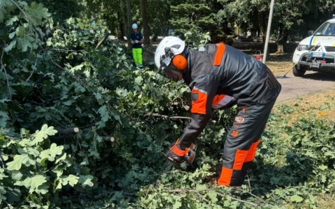 Interventi della Protezione Civile di Vignate: impegno costante per la sicurezza